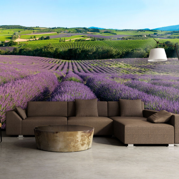 Fototapet Lavender Fields