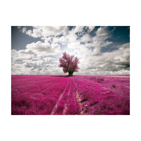 Fototapet Magenta Meadow-01