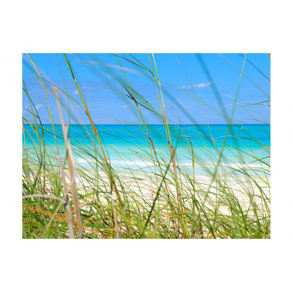 Fototapet tropical journey