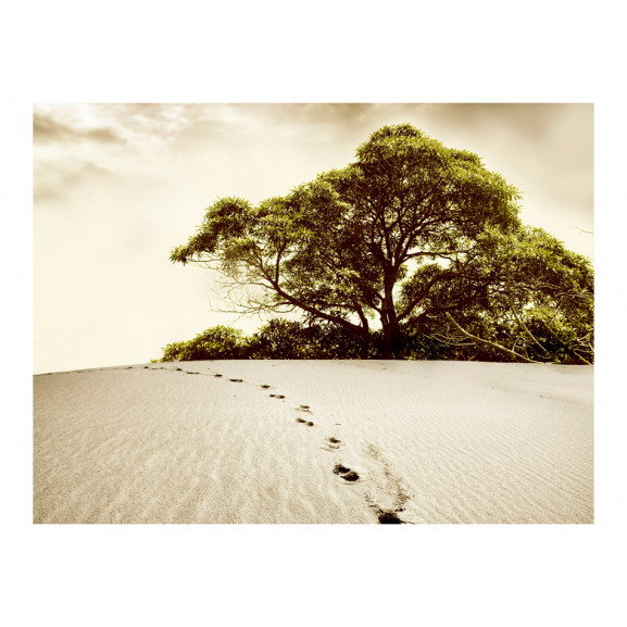 Fototapet tree in the desert