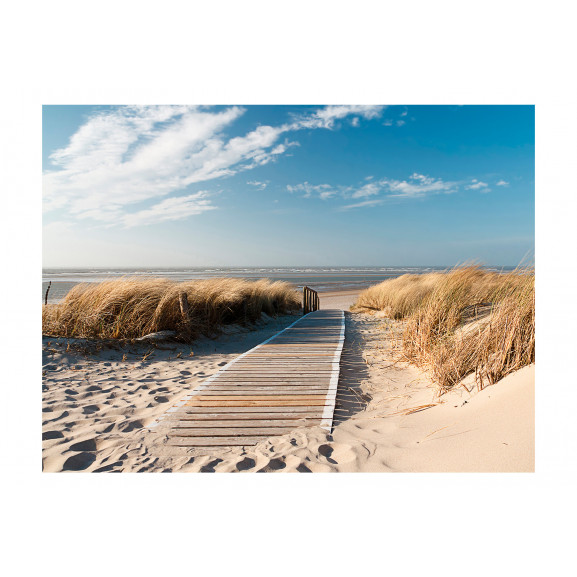 Fototapet north sea beach, langeoog