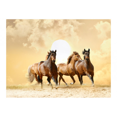 Fototapet Running Horses-01