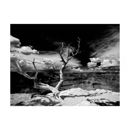 Fototapet Grand Canyon Tree-01