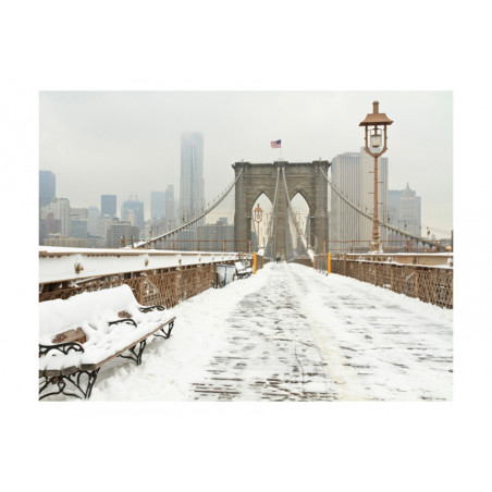 Fototapet Snow-Covered Bridge In New York-01