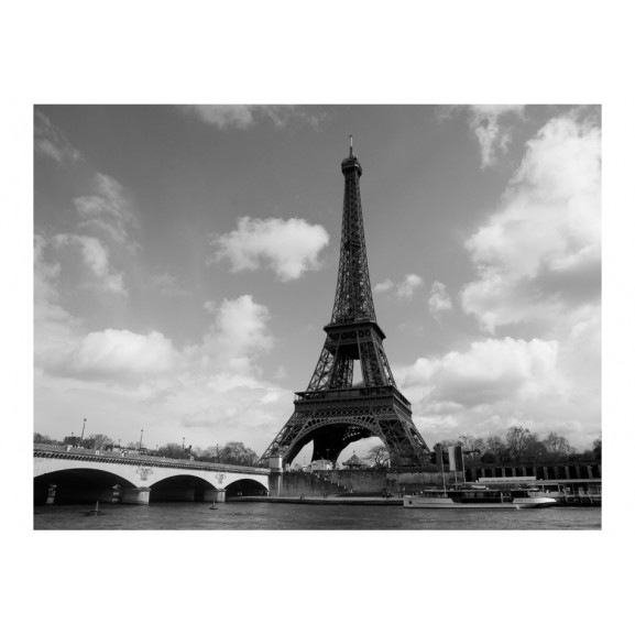 Fototapet Seine And Eiffel Tower