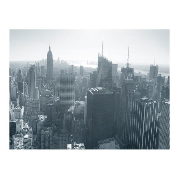 Poza Fototapet New York City Skyline Black And White