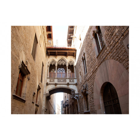 Fototapet Barcelona Palau Generalitat In Gothic Barrio-01