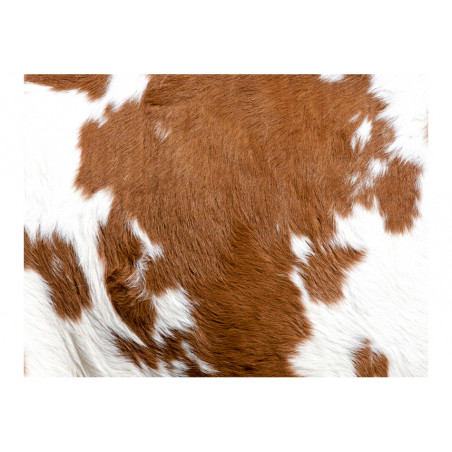 Fototapet Cowhide-01