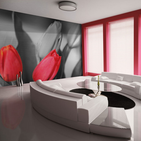 Fototapet Red Tulips On Black And White Background-01