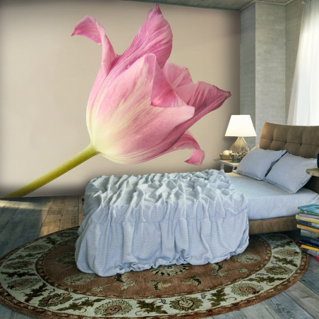Fototapet Pink Tulip-01