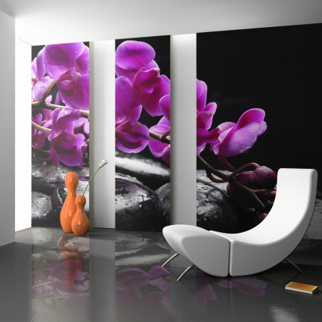 Fototapet Relaxing Moment: Orchid Flower And Stones-01