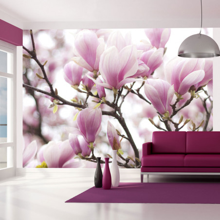 Fototapet Magnolia Bloosom-01