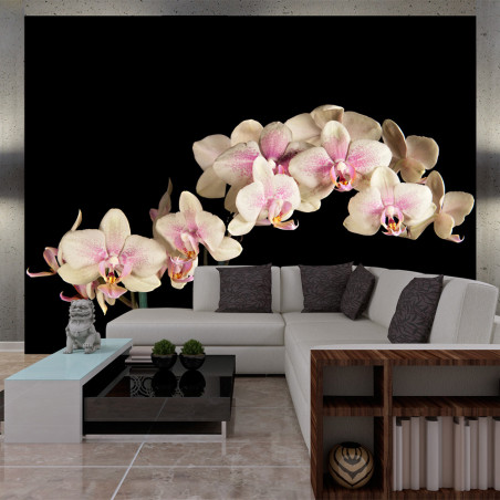 Fototapet Blooming Orchid-01