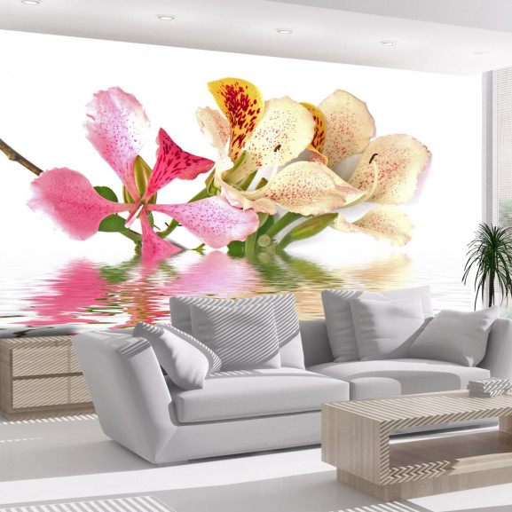 Fototapet Tropical Flowers Orchid Tree (Bauhinia)