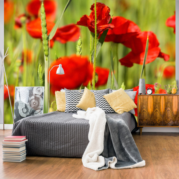 Fototapet Cereal Field With Poppies