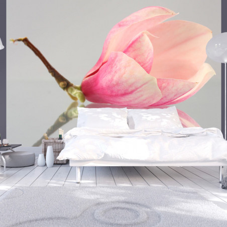 Fototapet A Lonely Magnolia Flower-01