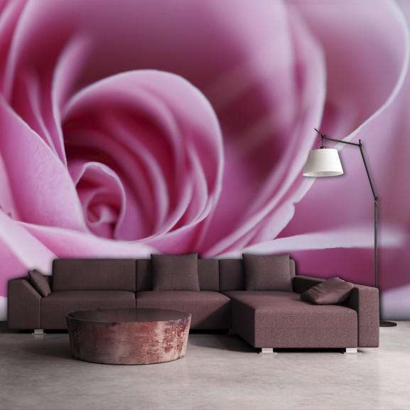 Fototapet Pink Rose