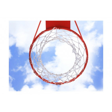 Fototapet Basketball-01