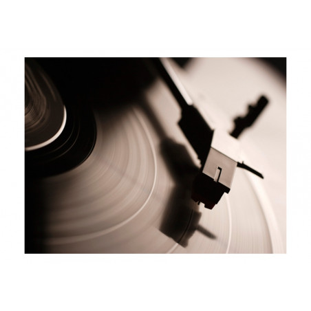 Fototapet Gramophone And Vinyl Record-01