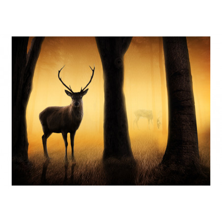 Fototapet Deer In His Natural Habitat-01