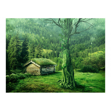 Fototapet Green Seclusion-01