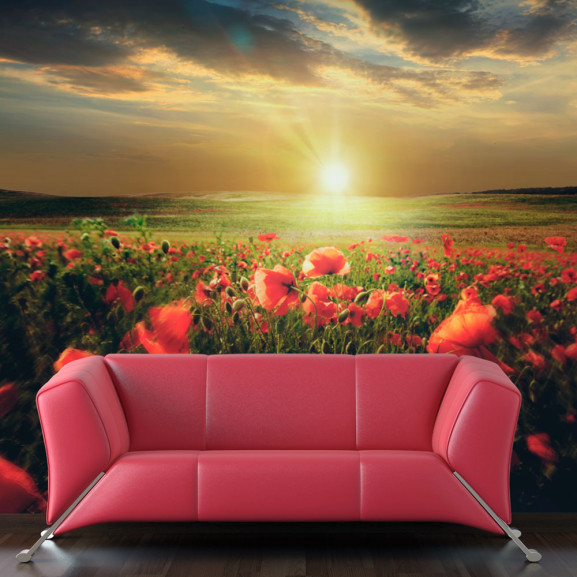 Fototapet Morning On The Poppy Meadow