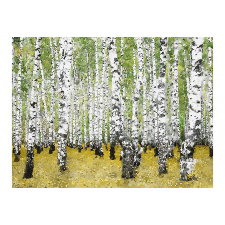 Fototapet In Birch Grove...-01