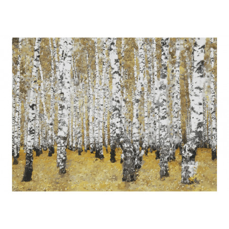 Fototapet Autumnal Birch Forest-01