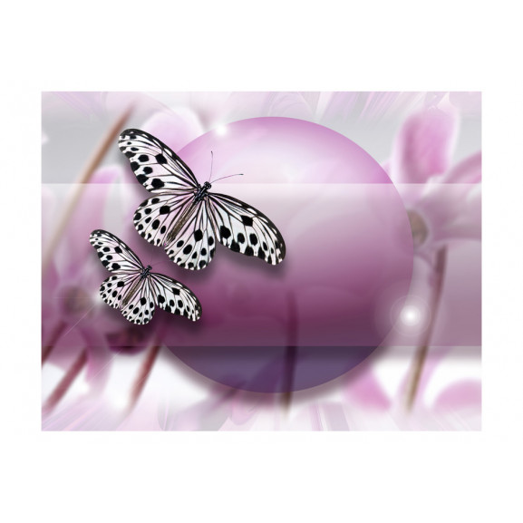 Fototapet fly, butterfly!