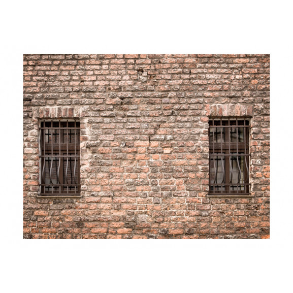Fototapet trapped in reality