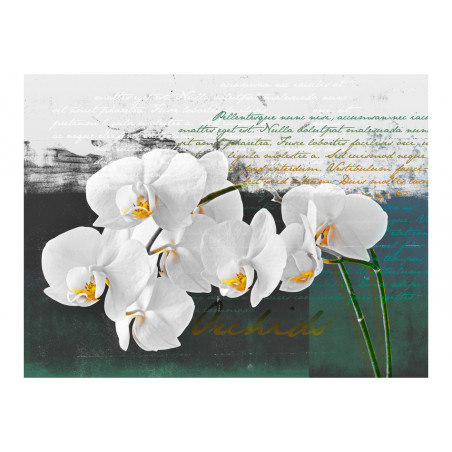 Fototapet Orchid Poet'S Inspiration-01