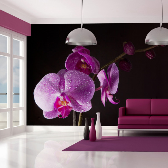 Fototapet Stylish Orchis