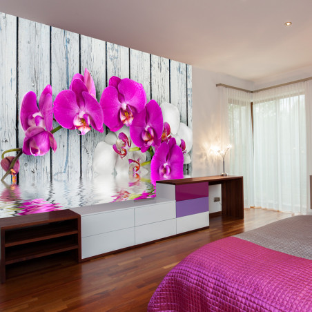 Fototapet Violet Orchids With Water Reflexion-01