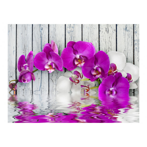 Poza Fototapet Violet Orchids With Water Reflexion