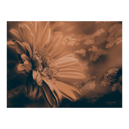 Fototapet Gerbera In Bronze-01