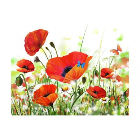 Fototapet Country Poppies-01