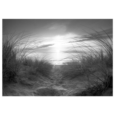 Fototapet beach (black and white)-01