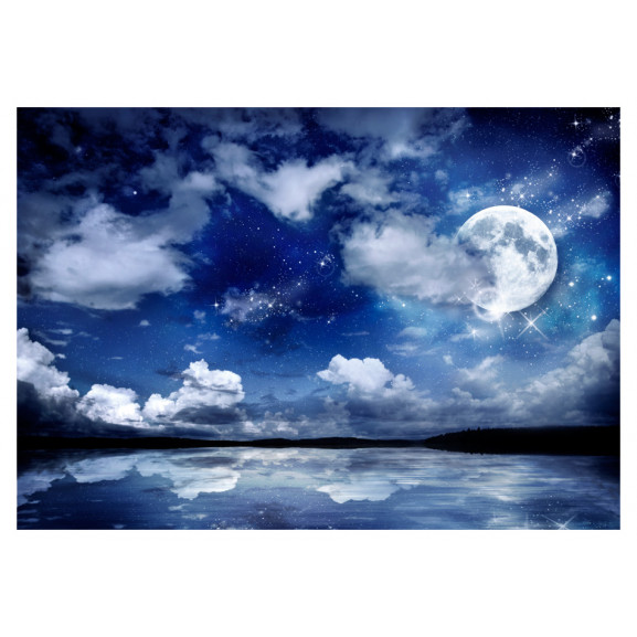 Fototapet magic night