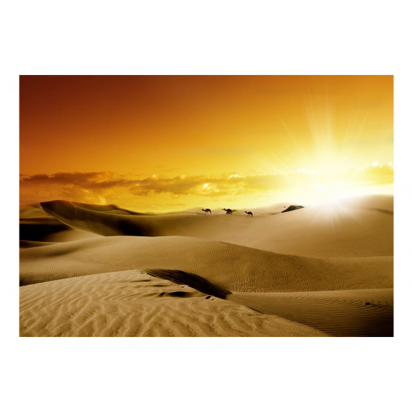 Fototapet march of camels
