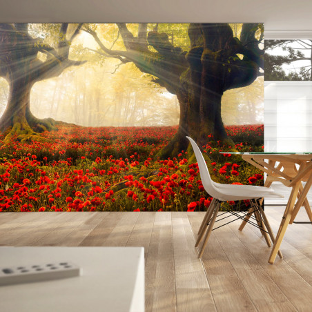 Fototapet Morning Among Poppies-01
