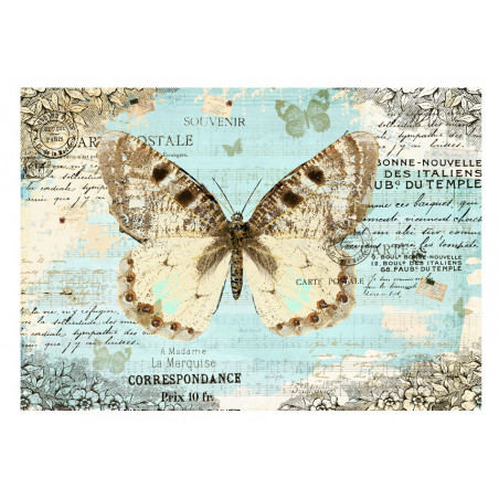 Fototapet Postcard With Butterfly-01