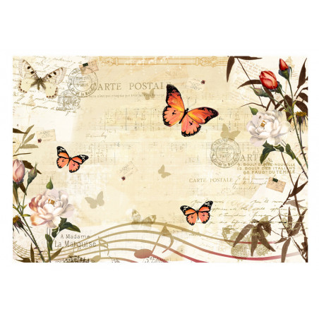 Fototapet Melodies Of Butterflies-01