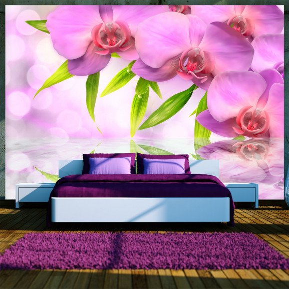 Fototapet Orchids In Lilac Colour