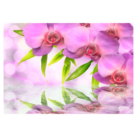 Fototapet Orchids In Lilac Colour-01