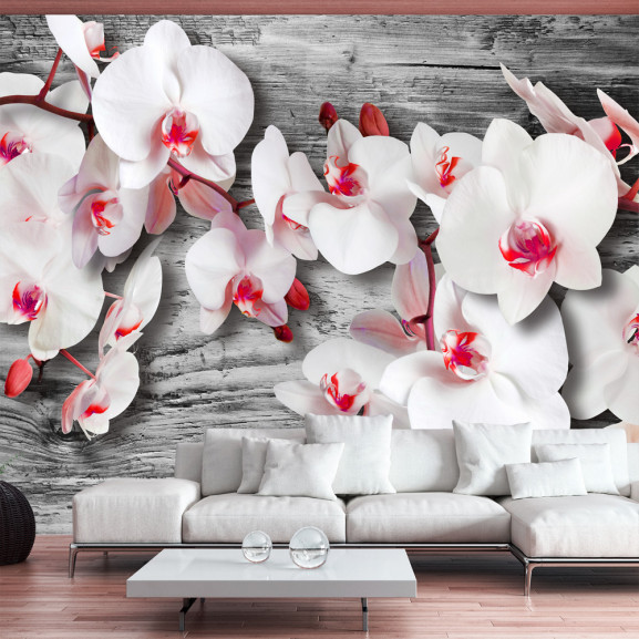 Fototapet Callous Orchids