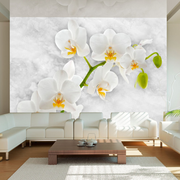 Fototapet Lyrical Orchid White