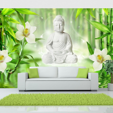 Fototapet Buddha And Nature-01