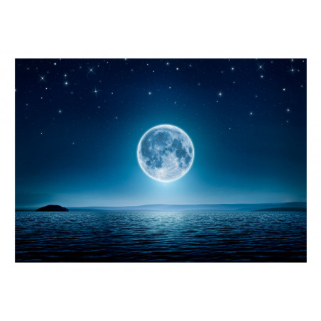 Fototapet Moonlit Night-01