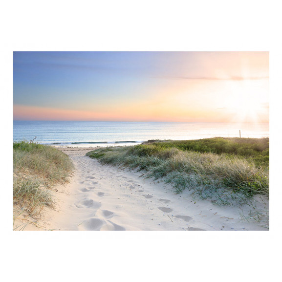Fototapet morning walk on the beach