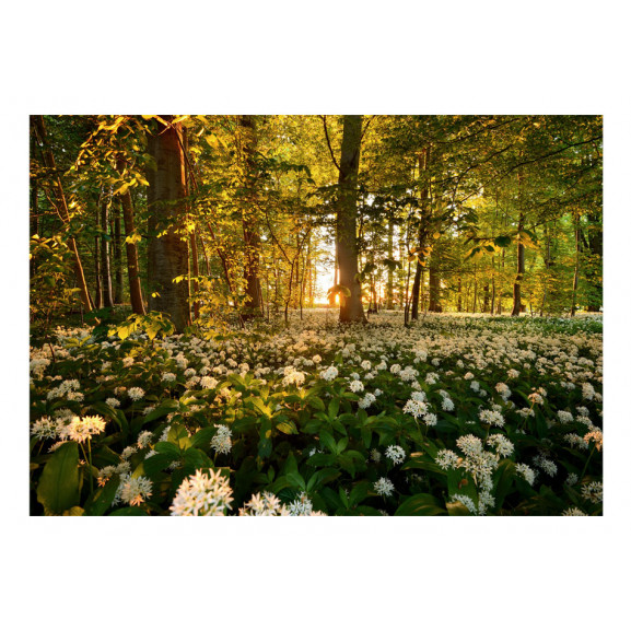 Fototapet forest flora